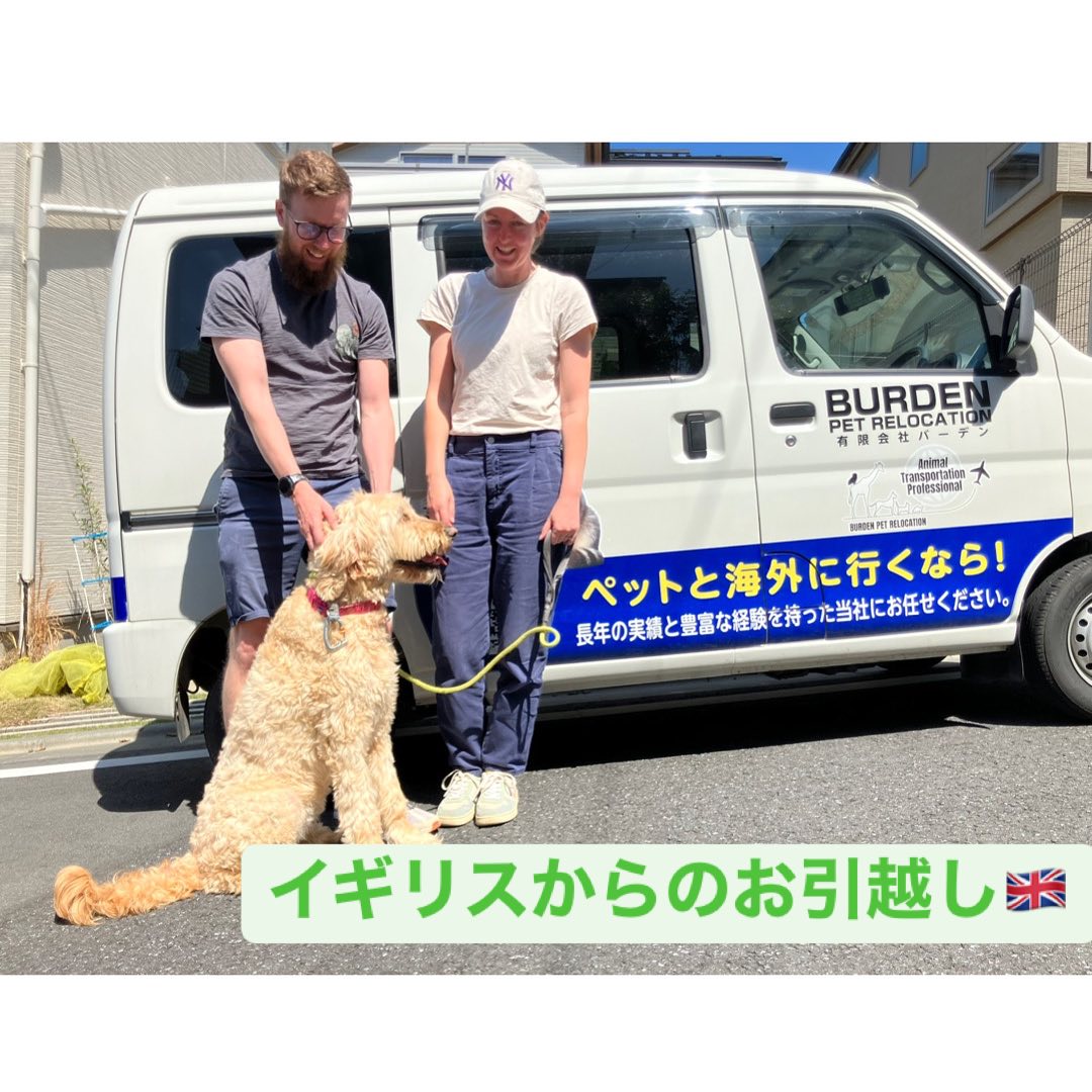 【イギリスからワンちゃん1頭を輸入しました】・・・･･･ イメージ1