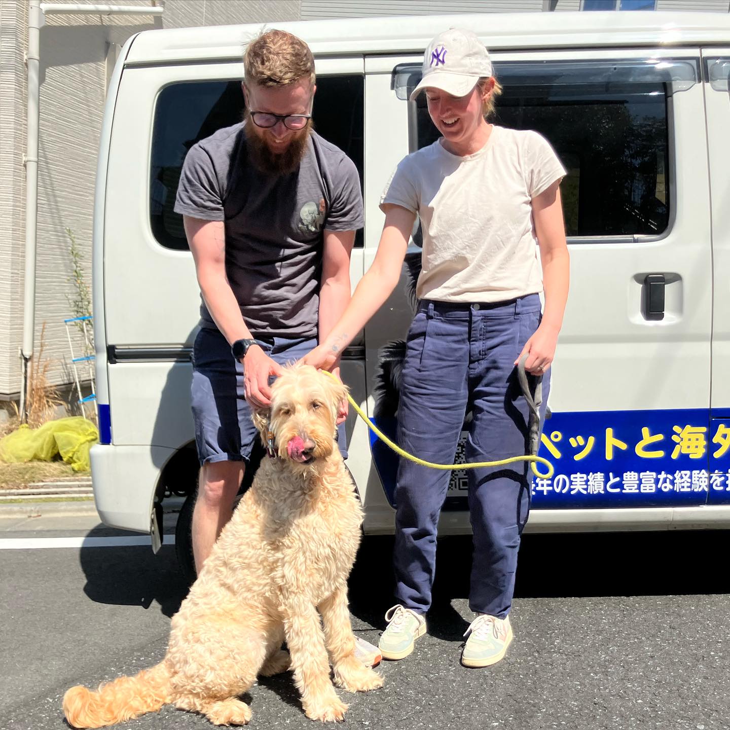 【イギリスからワンちゃん1頭を輸入しました】・・・･･･ イメージ2