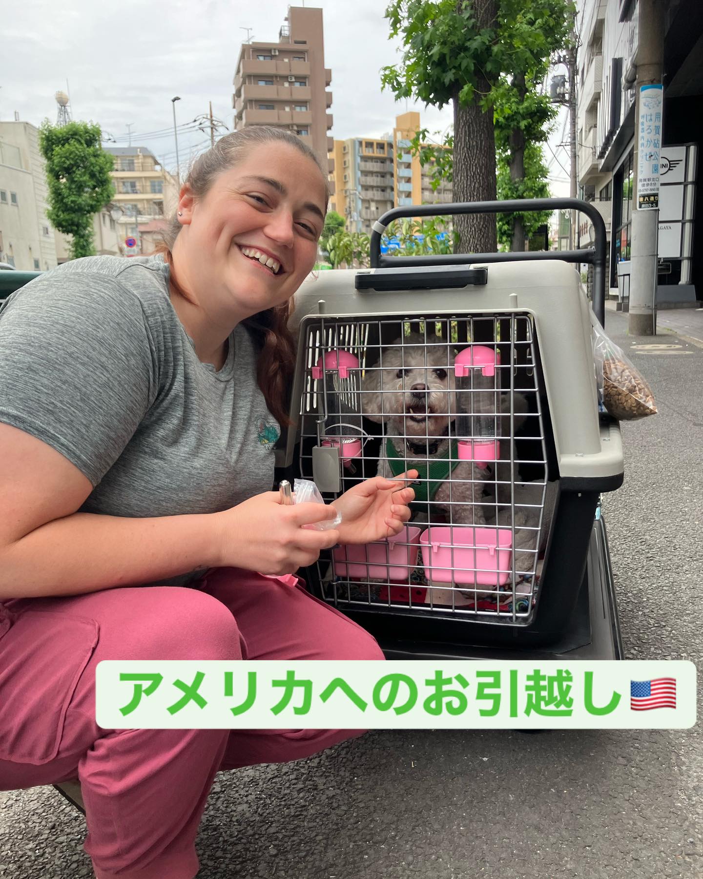 【アメリカへワンちゃん1頭を輸出しました】・・・ ･･･ イメージ1