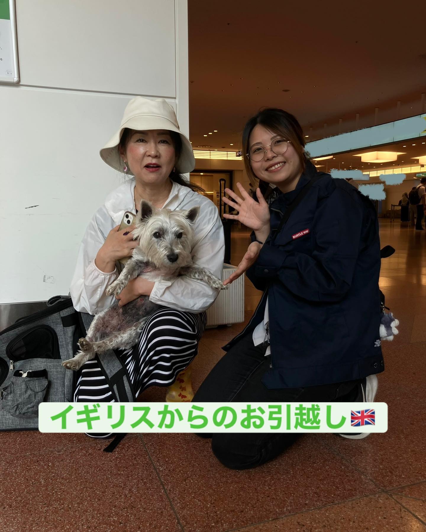 【イギリスからワンちゃん1頭を輸入しました】・・・･･･ イメージ1