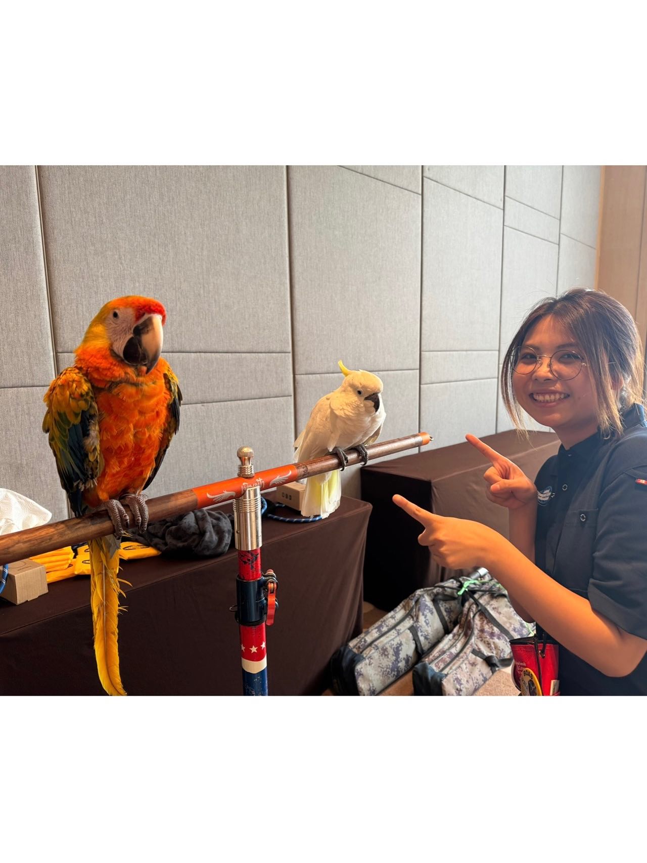 【2025 IPATA CONFERENCE in・・・ イメージ6