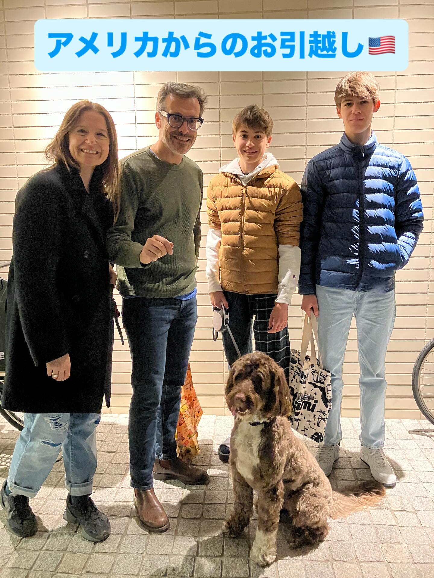 【アメリカからワンちゃん1頭を輸入いたしました】 ・・・ イメージ1