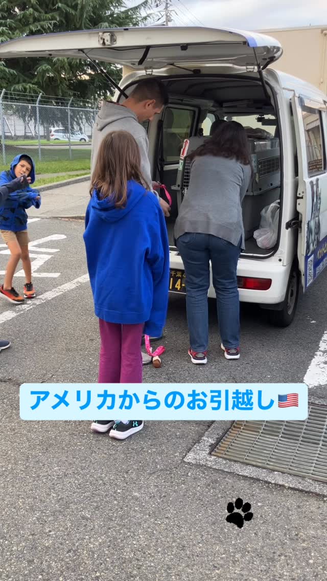 【アメリカからワンちゃん1頭を輸入しました】・・・・・・ イメージ1