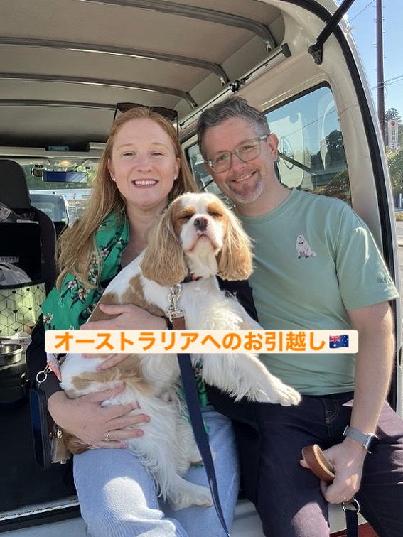 【オーストラリアへワンちゃん1頭を輸出しました】 ･･･ イメージ1