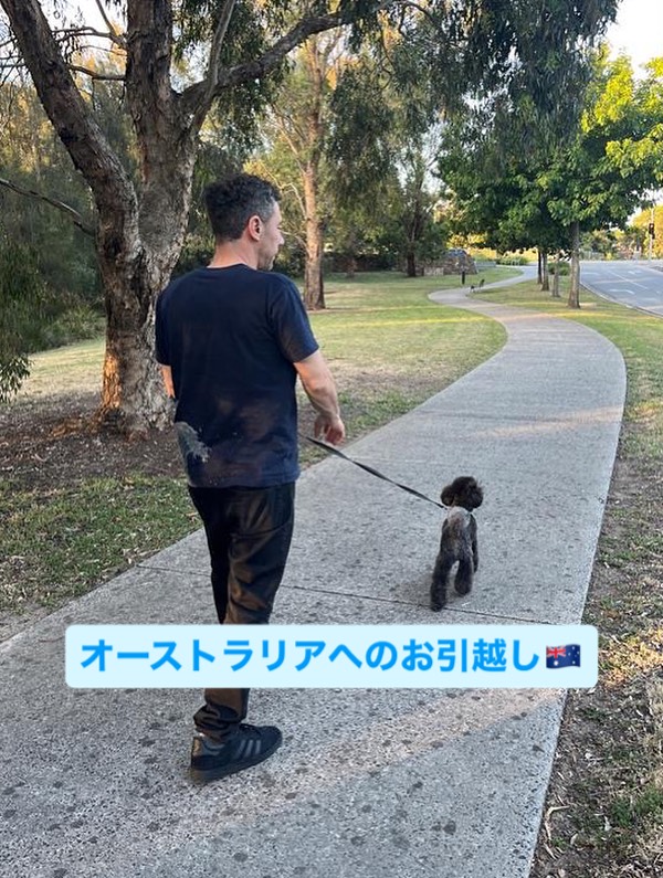【オーストラリアへワンちゃん1頭を輸出しました】 ･･･ イメージ1