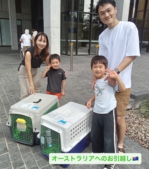 【オーストラリアへネコちゃん2頭を輸出しました】 ･･･ イメージ1