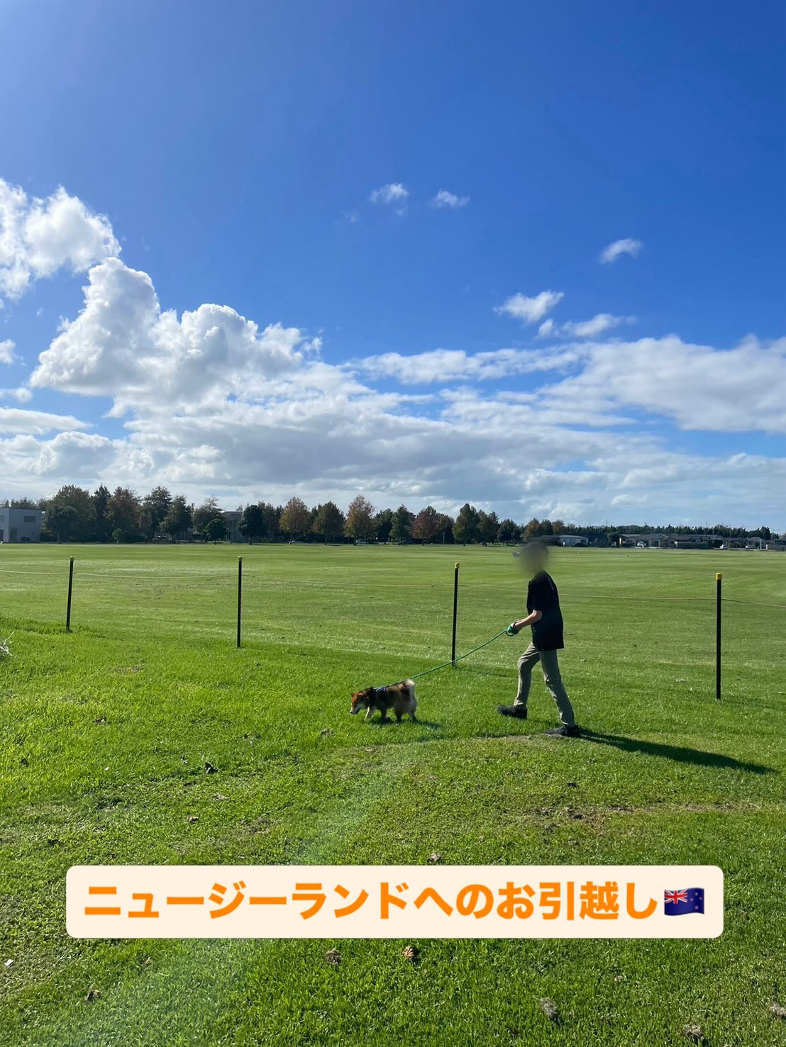 【ニュージーランドへワンちゃん1頭お引越し🐶✈️】・・・ イメージ1