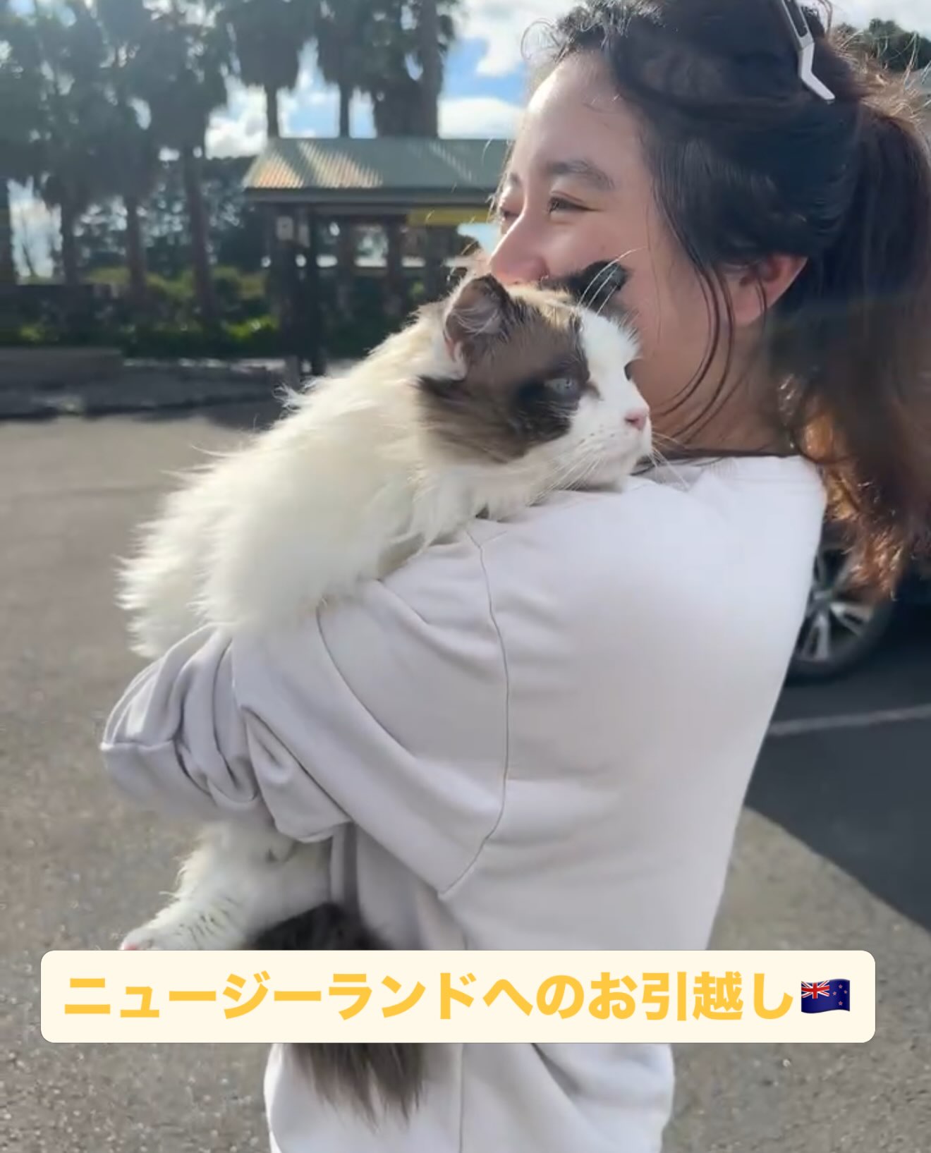 【ニュージーランドへ猫ちゃん2匹のお引っ越し】 こ･･･ イメージ1